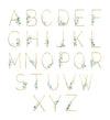 Personalized name art alphabet