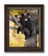 Art print of bears Snuggling in tree with names carved into a tree- framed behind glass