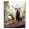Rocky Mountain Elk picture from Personal Prints