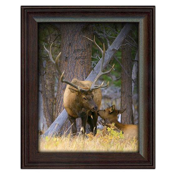 Rustic cabin decor elk print featuring two elk in the woods, one laying down reaching up to kiss the other - Personal-Prints