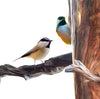 Chickadee Love Birds - Detail from Art