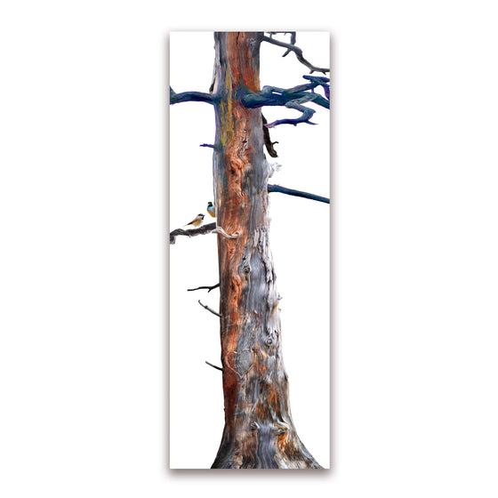 Ponderosa Pine Tree Art Personalized Romantic Gift from Personal-Prints