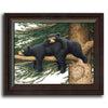 Personalized framed animal art of two black bears sleeping on a tree branch - Personal-Prints
